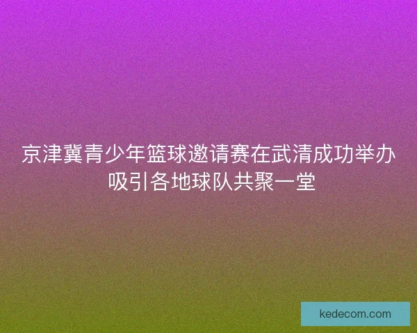 京津冀青少年篮球邀请赛在武清成功举办 吸引各地球队共聚一堂