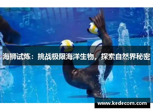 海狮试炼：挑战极限海洋生物，探索自然界秘密