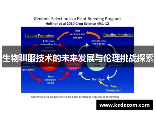 生物驯服技术的未来发展与伦理挑战探索